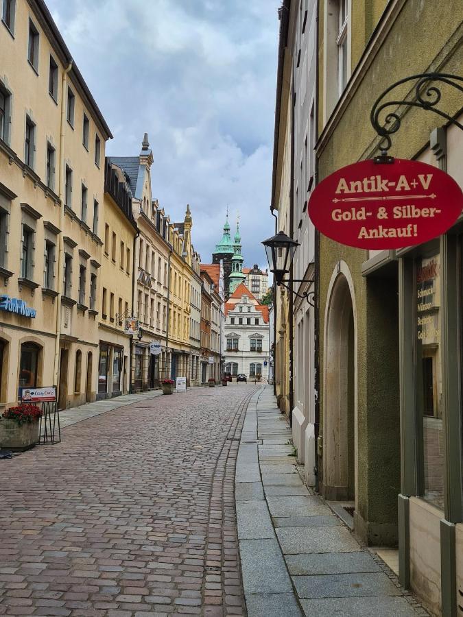 Altstadt Domizil Пірна Екстер'єр фото